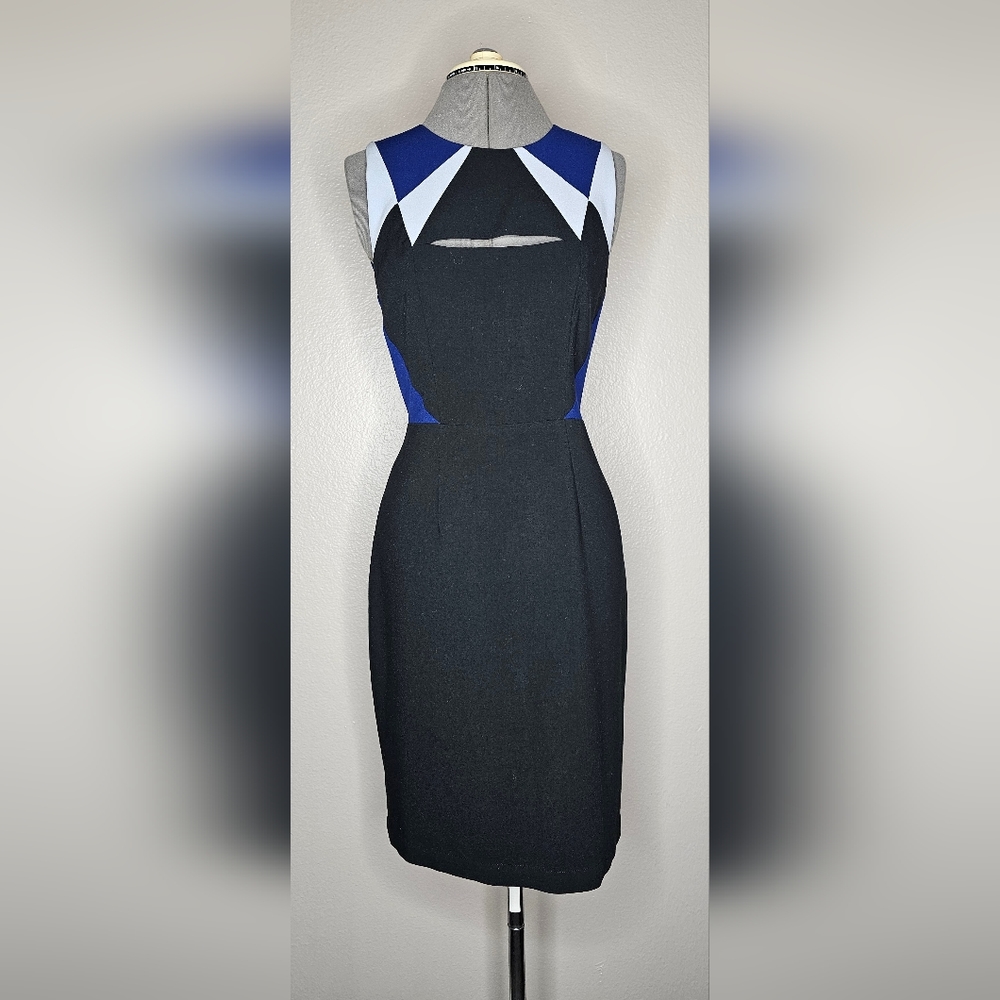 BCBGMaxAzaria Karin dress sz 6